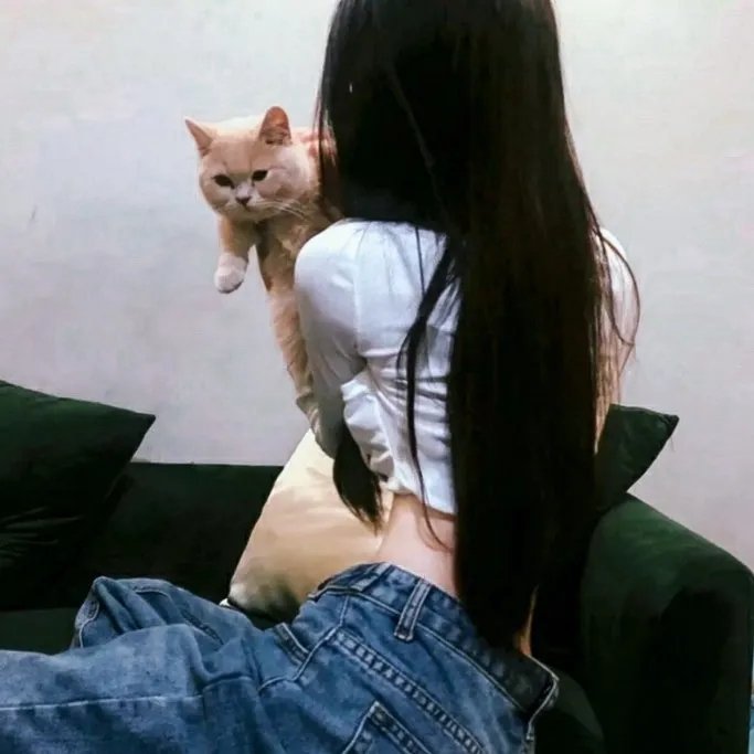 熊猫计划